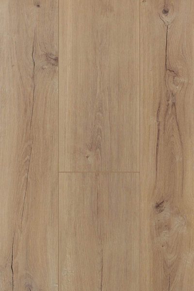 AGT PRK507 Дъб Илгаз