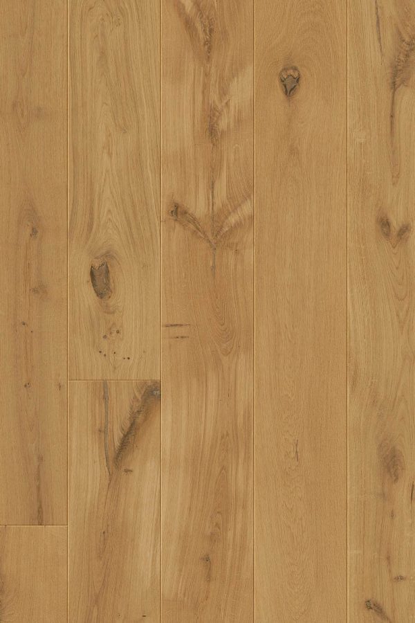 Quickstep 3893 Дъб залез