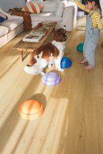 QuickStep №40318 Четкан дъб мед