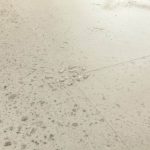 QuickStep 40275 Бетон Стрида