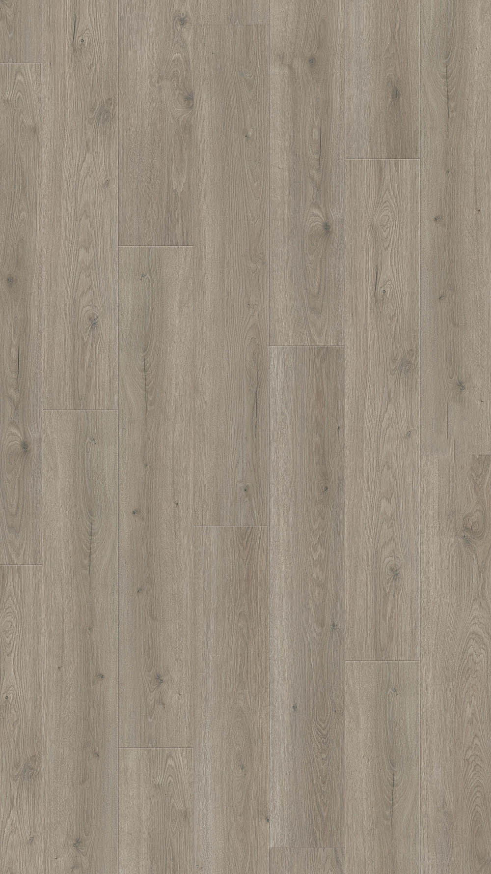 544702_oak_flavia_grey_authentic-2-web Haro №544702 Дъб Флавия сив