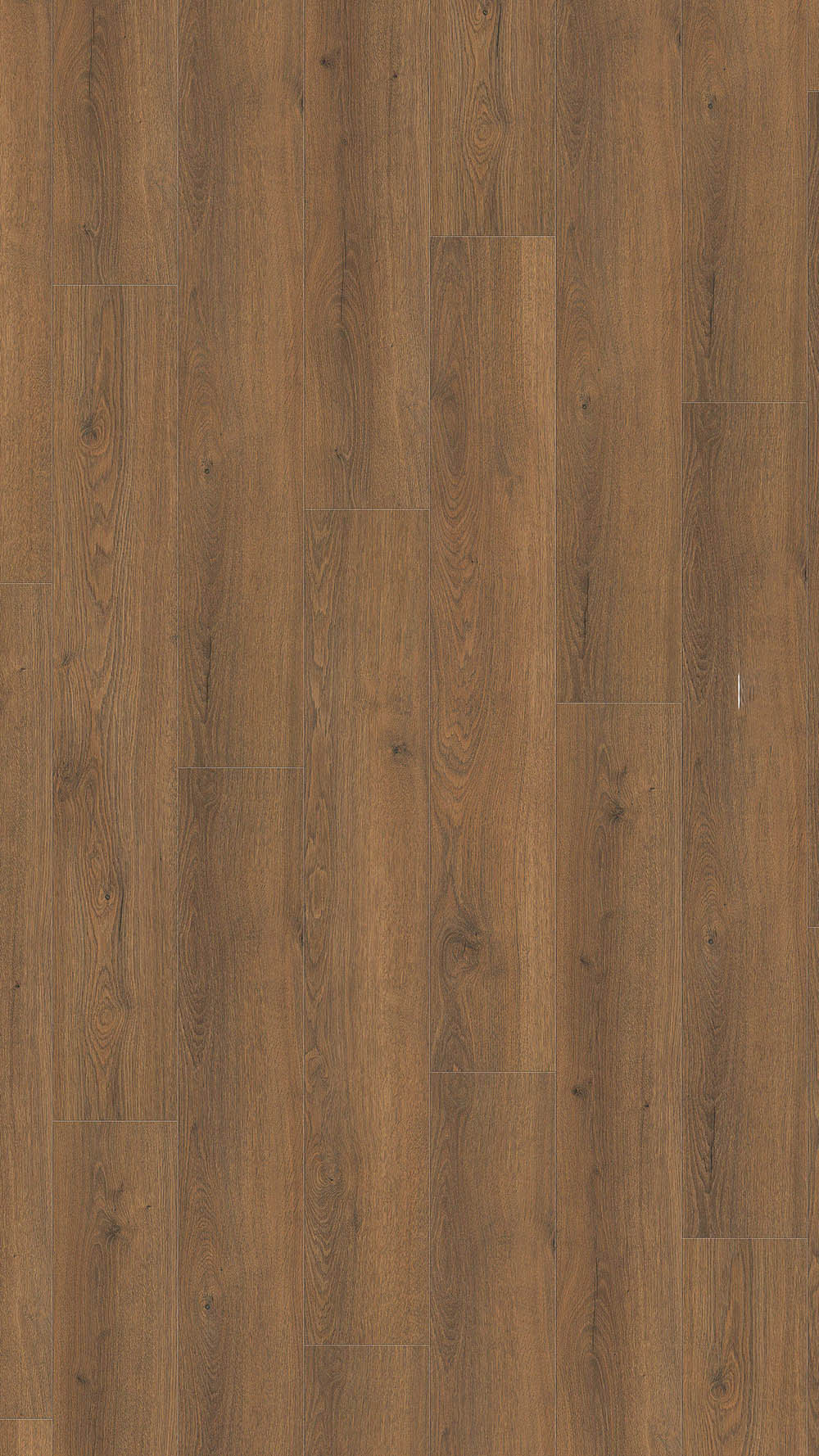 544705_oak_flavia_smoked_authentic_2-webjpg Haro №544705 Дъб Флавия опушен