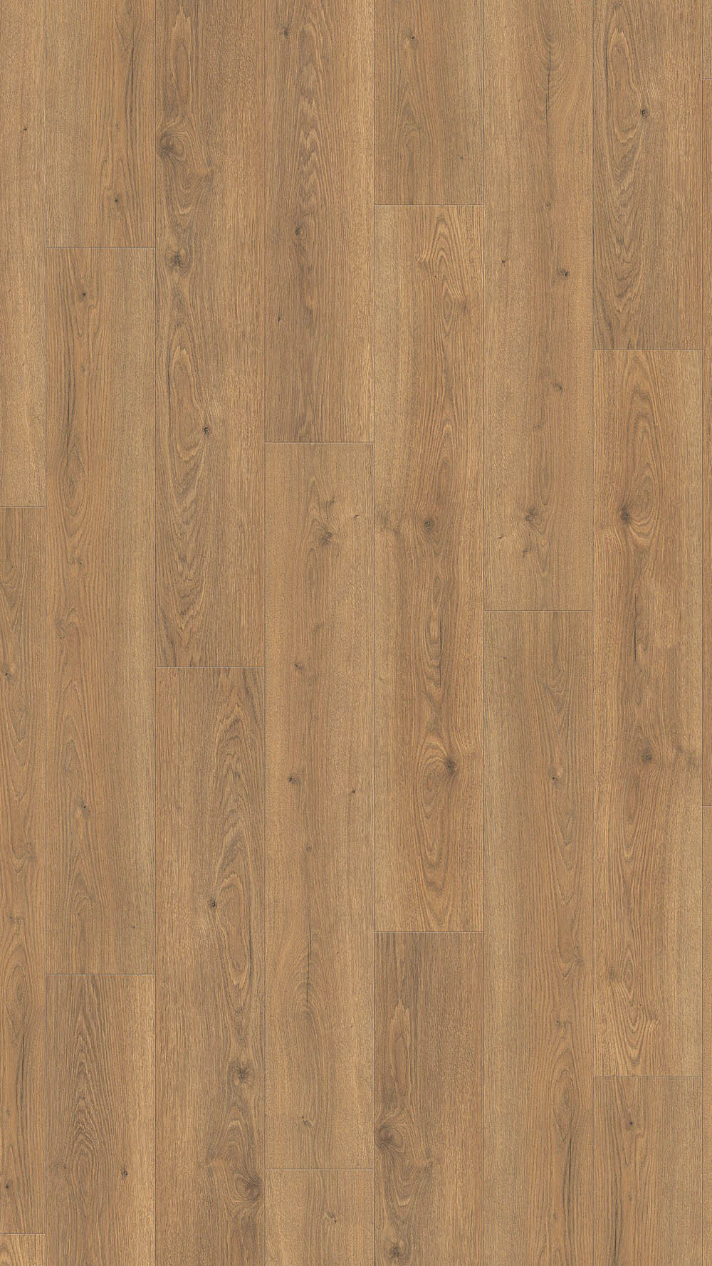 544708_oak_flavia_nature_authentic_2-web Haro №544708 Дъб Флавия натурален