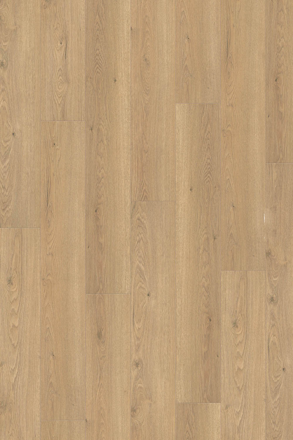 544711_oak_flavia_puro_authentic_2-web Haro №544711 Дъб Флавия Пуро