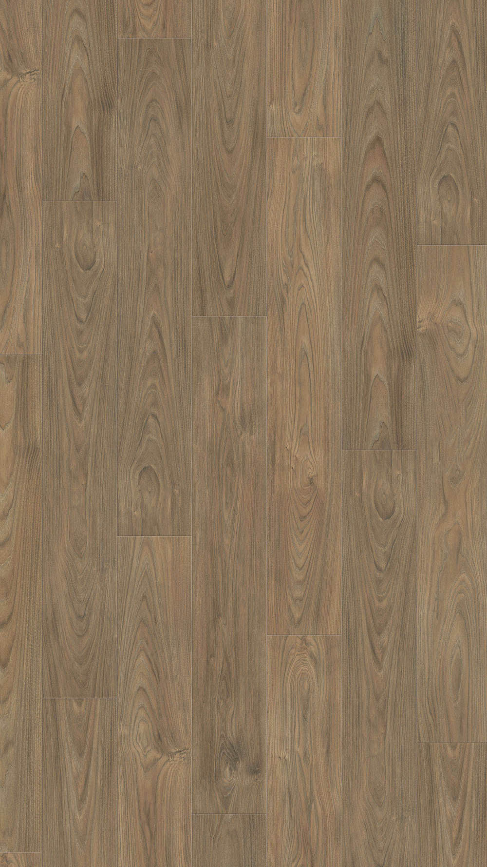 544720_elm_vario_authentic_soft_2-web Haro №544720 Бряст Варио