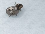 Ламиниран паркет FT017 Астрал 10мм / 33 клас 4V - Image 2