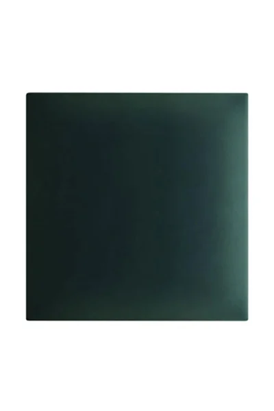 Тапициран стенен панел Vilo Regular 3 №6034870 Зелена бутилка 30x30 см
