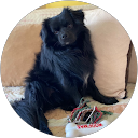 Tinka Gospodinova profile picture
